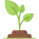 category icon